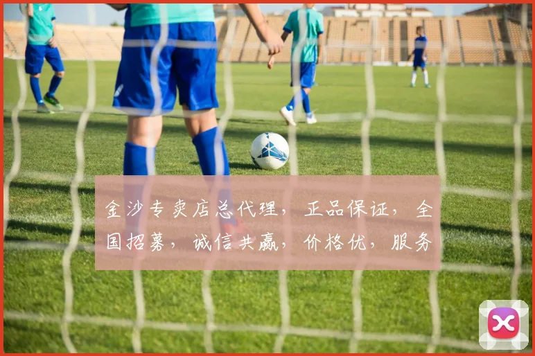 金沙专卖店总代理，正品保证，全国招募，诚信共赢，价格优，服务佳，品质高，三大保障