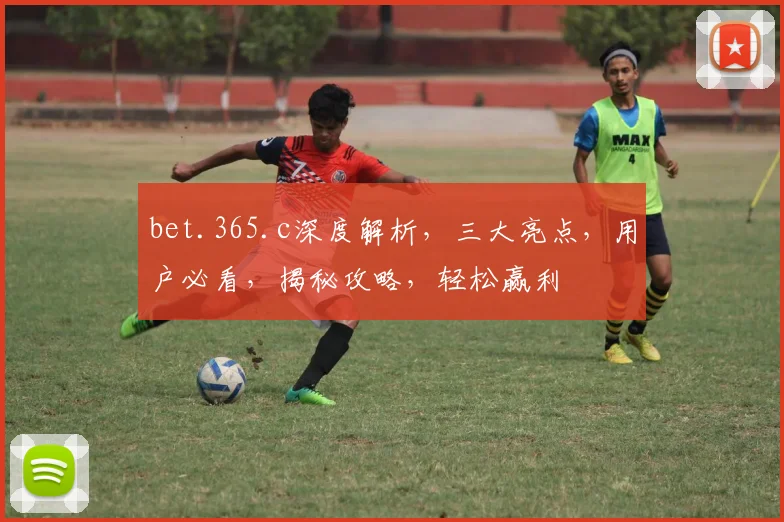 bet.365.c深度解析，三大亮点，用户必看，揭秘攻略，轻松赢利